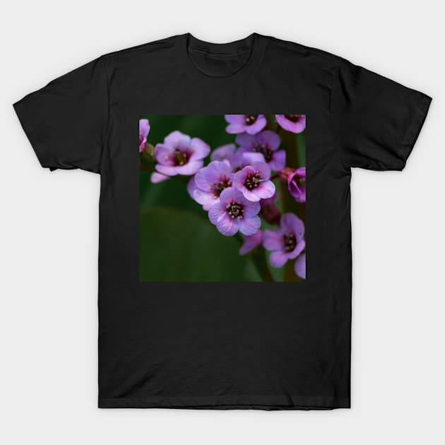 Flowers in purple. T-Shirt by CanadianWild418